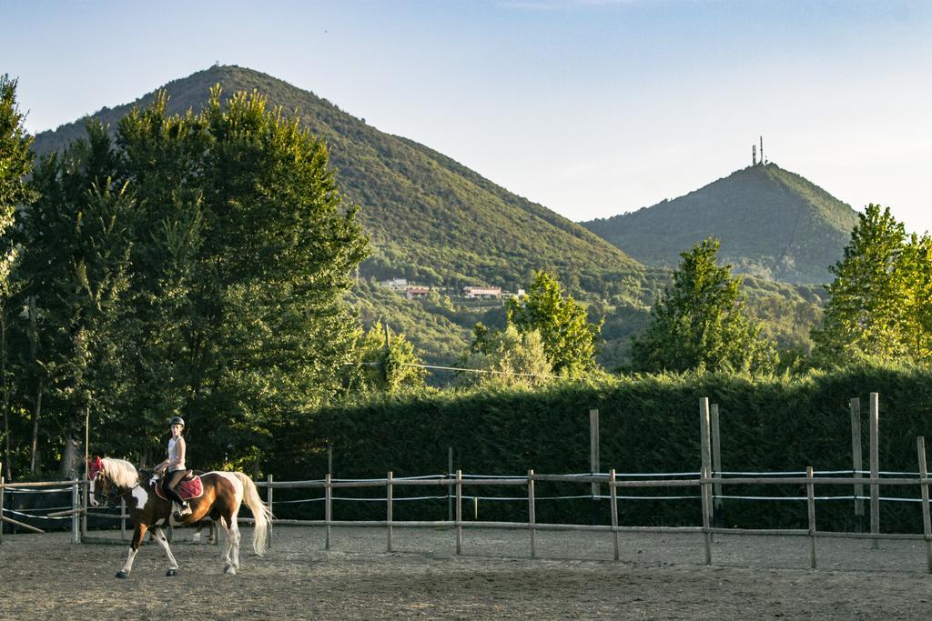 Aiceltis 2* Teolo