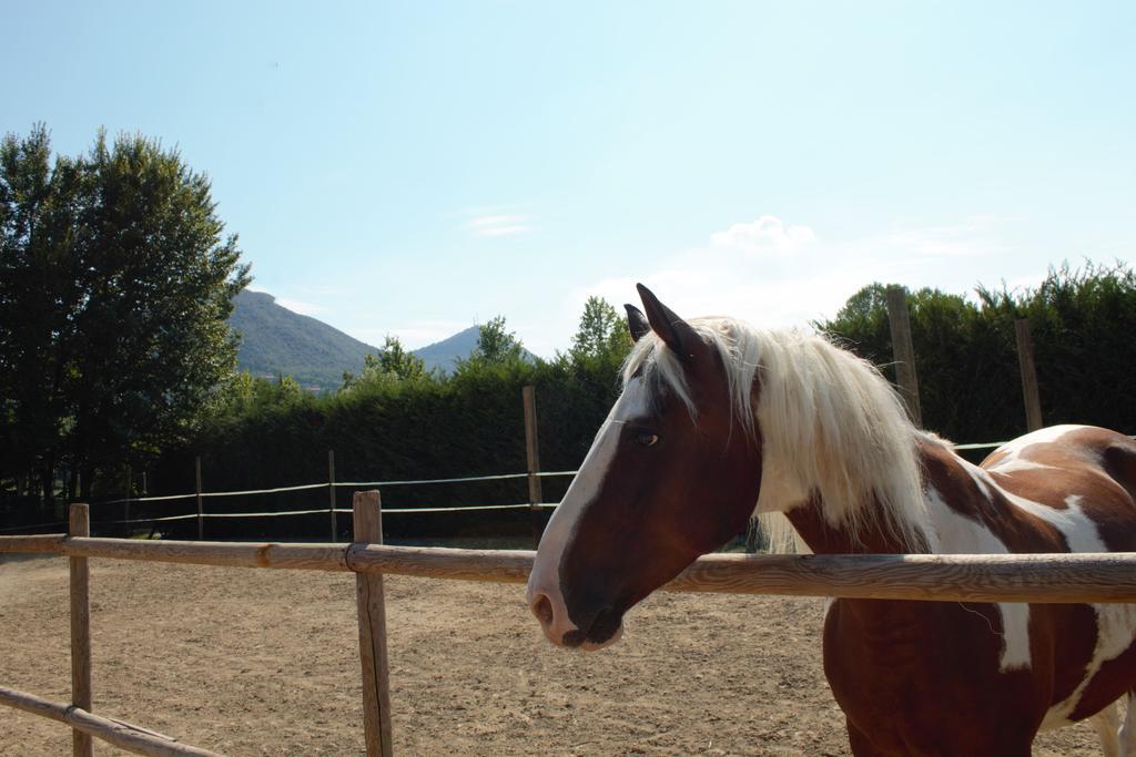 Aiceltis 2* Teolo